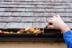 gutter cleaning